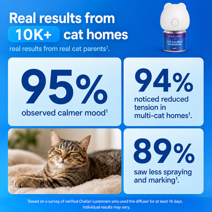 Ovelari Calming Diffuser Kit